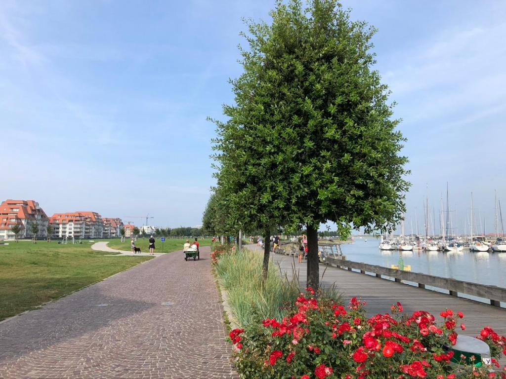 Ferienwohnung Amelotte Nieuwpoort Exterior foto
